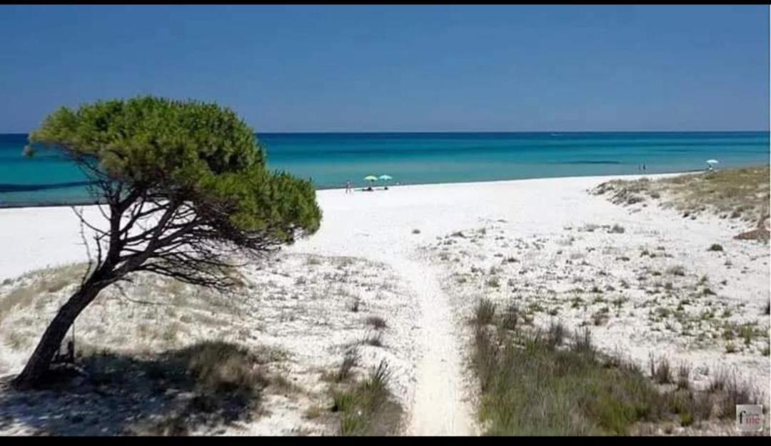 Casa Vacanza Siniscola Exteriör bild